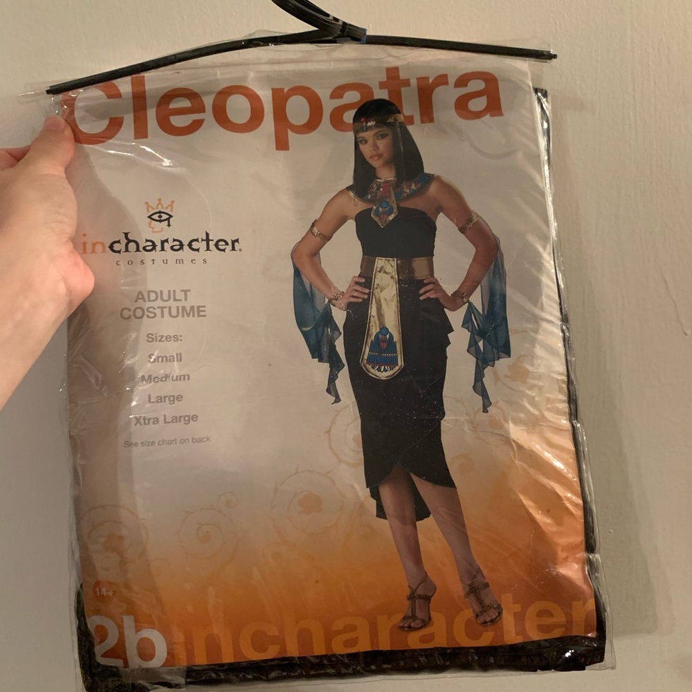 Incharacter Cleopatra Halloween costume